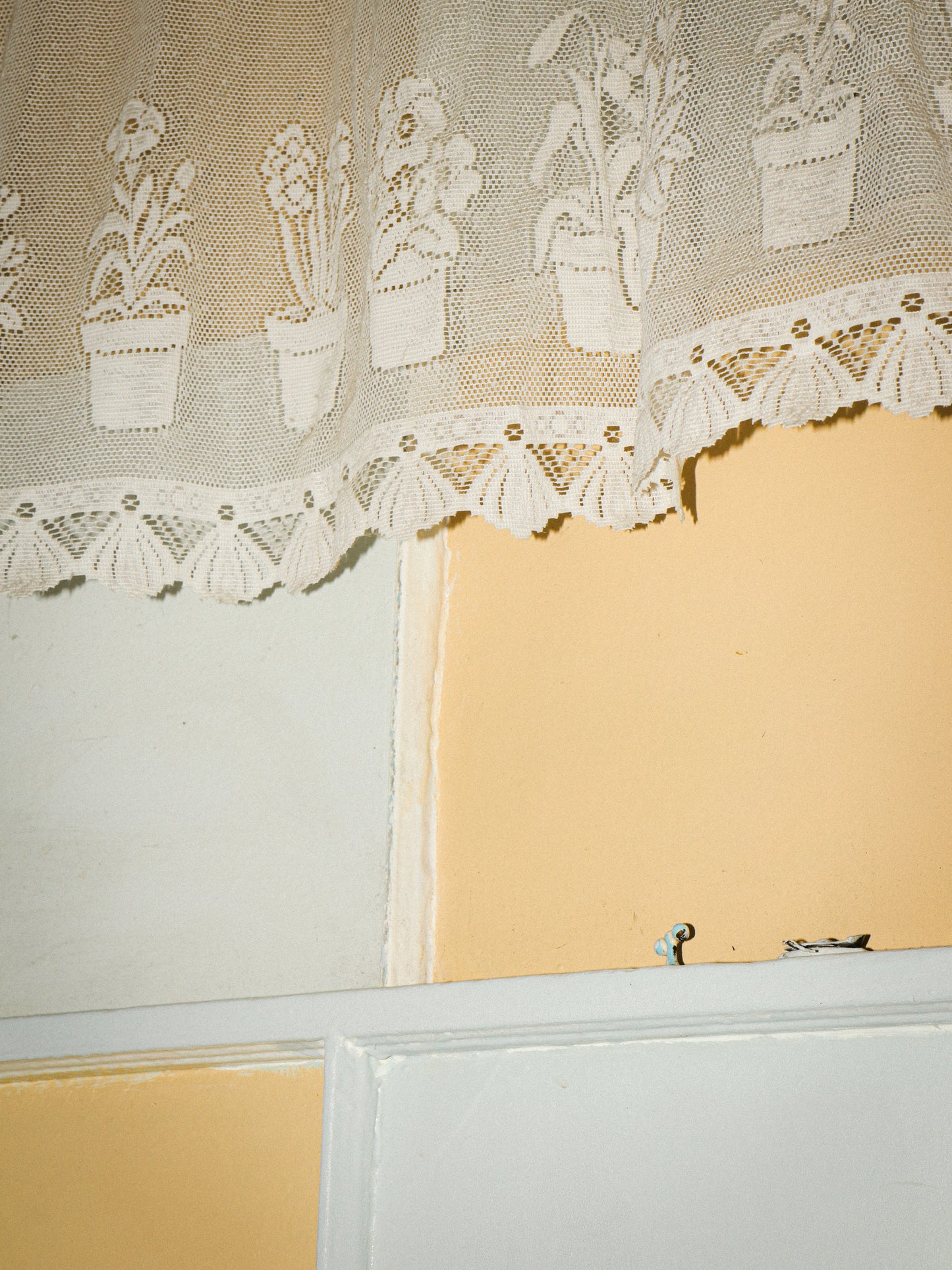 Maison Bertaux Lace Print