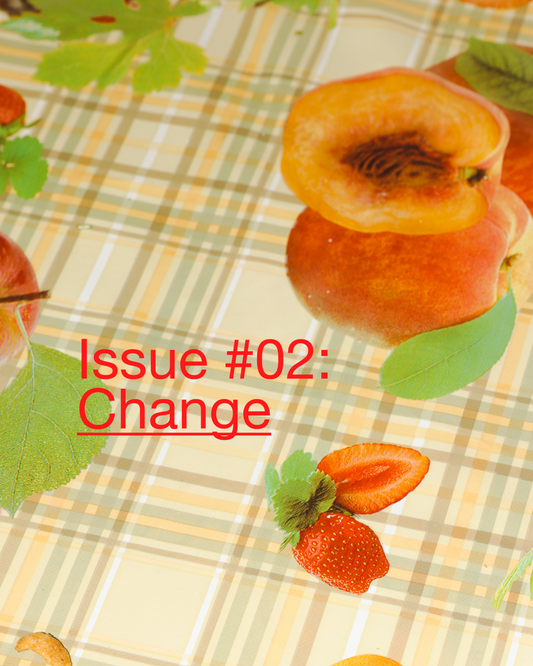 Issue #02: 'Change' (PRE-ORDER)