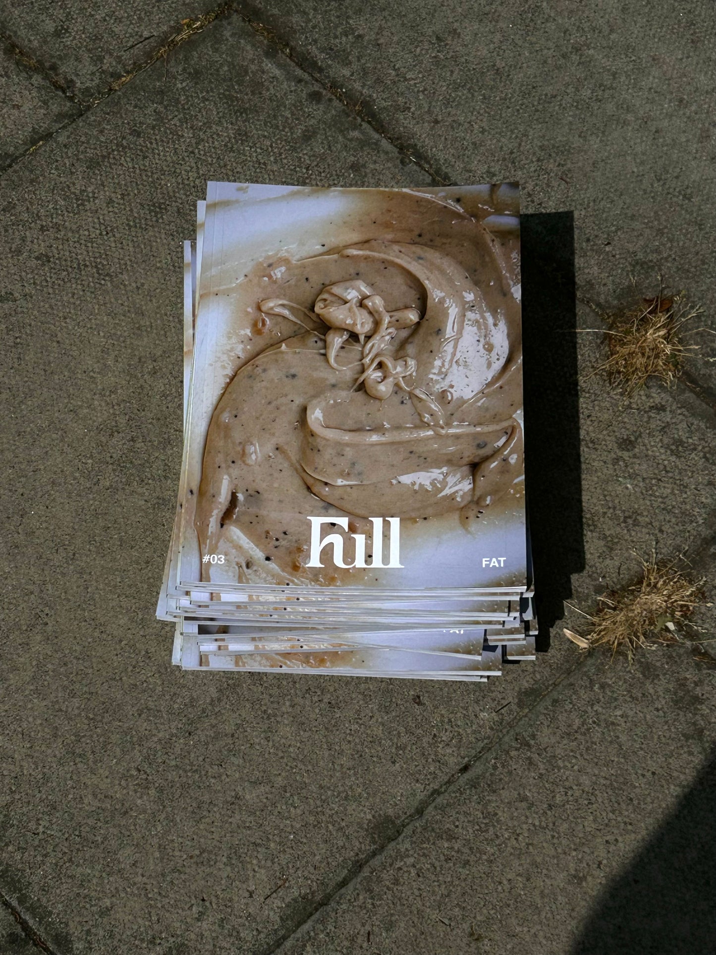 Issue #03: 'Fat'
