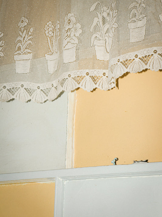 Maison Bertaux Lace Print